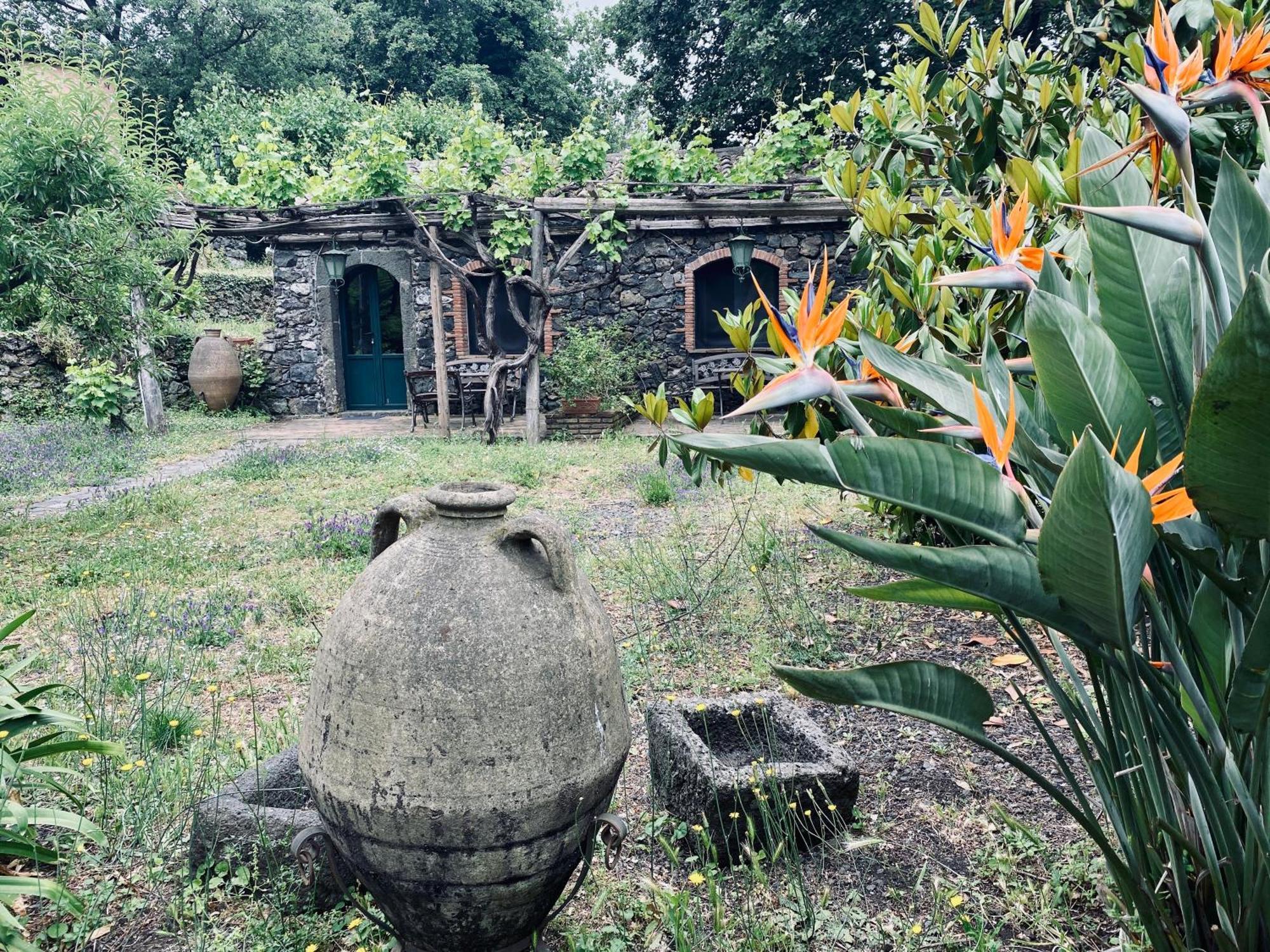 Etna Glicine Vakantiehuis Piedimonte Etneo